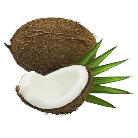 Aromaoil Coconut, Packing: Bottle - 10 ml