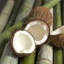Аромаолія Bamboo and Coconut / Бамбук та кокос, Фасування: Флакон - 10 г