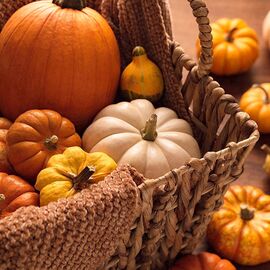 Aromaoil Pumpkin, Packing: Bottle - 10 ml
