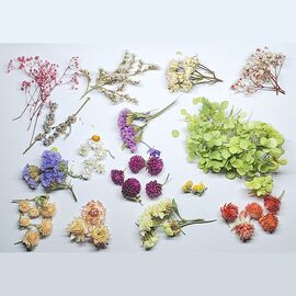 Сухоцветы для декора