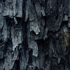 Aromaoil Black Santal, Packing: Bottle - 10 ml