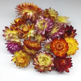 Цветы для декора