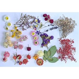 Flowers for decoration