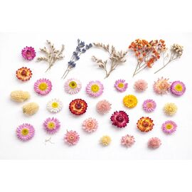 Flowers for decoration