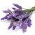 Aromaoil Lavender dream - for candles ➤ Brand Iberchem, Packing: Bottle - 10 ml, 2 image - Candle Art Aromaoil Lavender dream - for candles ➤ Brand Iberchem, Packing: Bottle - 10 ml, 2 image