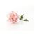 Aromaoil Rose petals - for candles ➤ Brand Iberchem, Packing: Bottle - 10 ml, 2 image