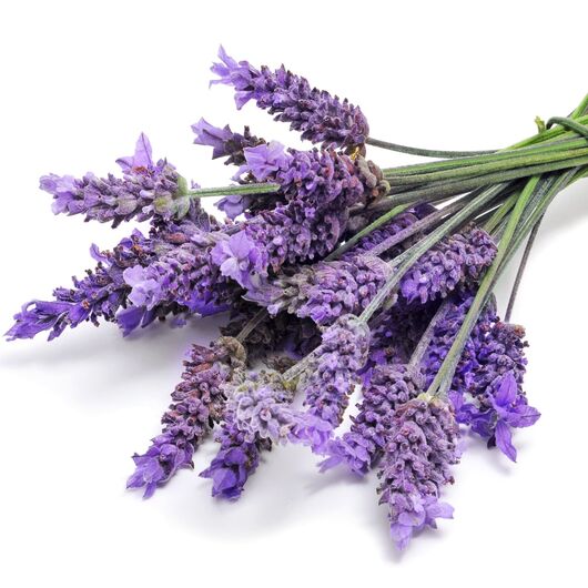 Aromaoil Lavender - for candles ➤ Brand Iberchem, Packing: Bottle - 10 ml