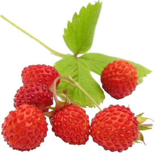 Аромамасло Wild strawberry / Земляника - для свечей ➤ Бренд Iberchem, Фасовка: Флакон - 10 мл