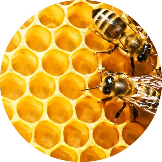 Аромаолія Beeswax / Бджолиний віск - для свічок ➤ Бренд Iberchem, Фасування: Флакон - 10 мл