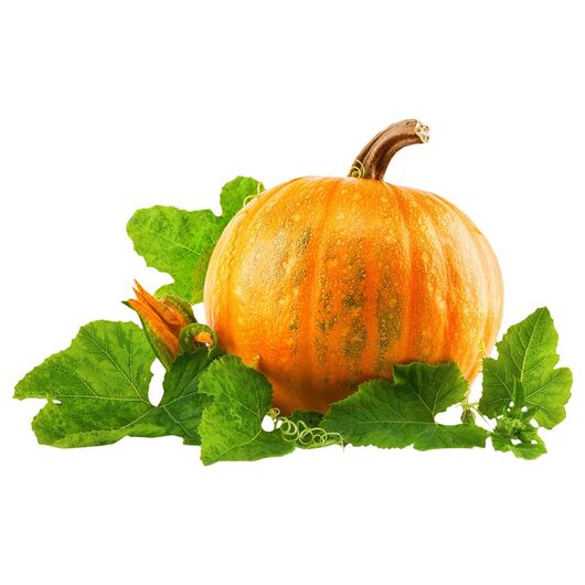 Аромамасло Pumpkin / Гарбуз - для свечей ➤ Бренд Iberchem, Фасовка: Флакон - 10 мл