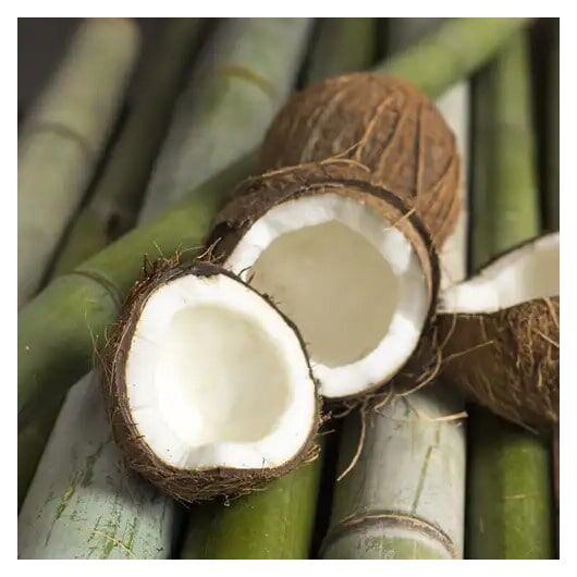 Аромаолія Bamboo and Coconut / Бамбук та кокос - для свічок ➤ Бренд CandleScience, Фасування: Флакон - 100 г
