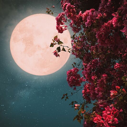 Аромаолія Moonlight / Місячне сяйво - для свічок ➤ Бренд Iberchem, Фасування: Флакон - 10 мл