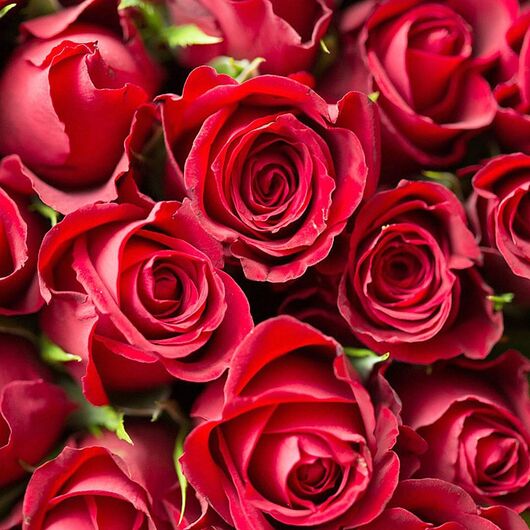 Aromaoil Rose petals - for candles ➤ Brand Iberchem, Packing: Bottle - 10 ml