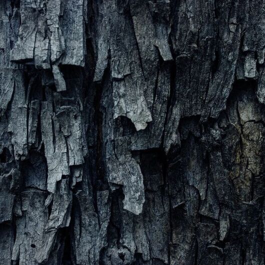 Aromaoil Black Santal - for candles ➤ Brand Iberchem, Packing: Bottle - 10 ml