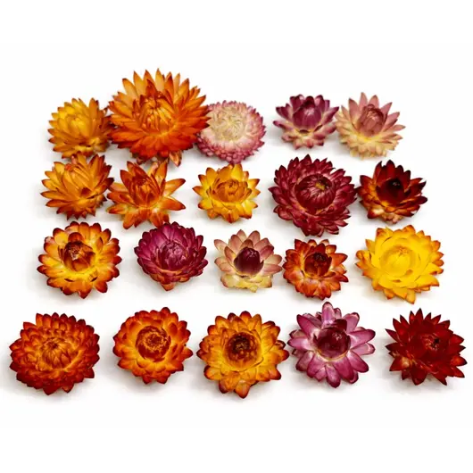 Цветы для декора, фото 2