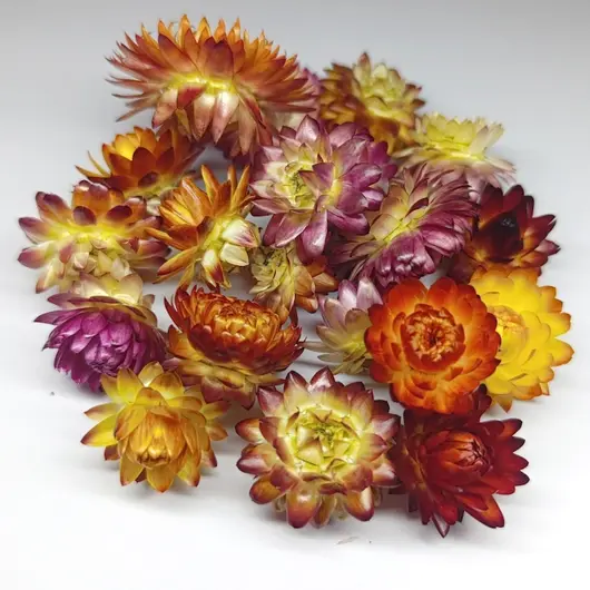 Цветы для декора