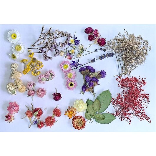 Flowers for decoration of your candles